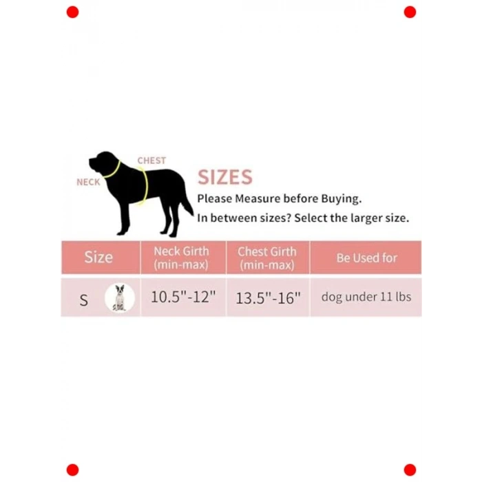 Küçük Köpek Koşum Tasma Seti - Çekme Önleyici & Yansıtıcı (Pembe)