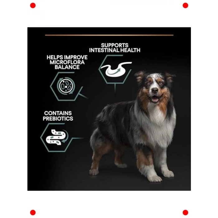 Kuzu Etli Orta Boy Yetişkin Köpek Maması 14 kg