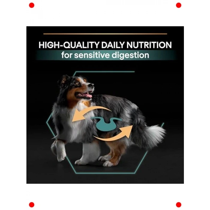 Kuzu Etli Orta Boy Yetişkin Köpek Maması 14 kg