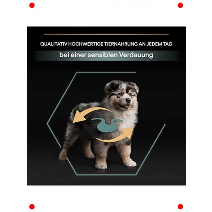 Kuzu Etli Orta Irk Yavru Köpek Kuru Maması 12 kg