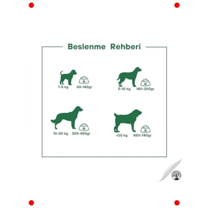 Kuzu & Pirinç Yetişkin Köpek Maması - 15 KG