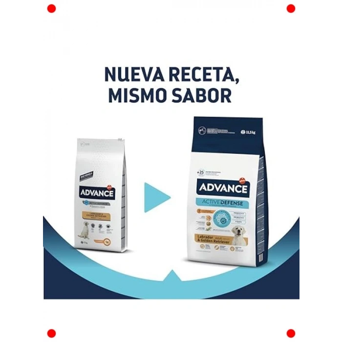 Labrador Yetişkin Köpek Maması 11.5 Kg