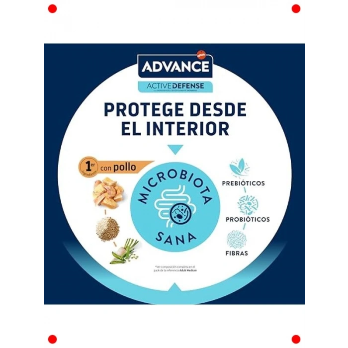 Labrador Yetişkin Köpek Maması 11.5 Kg