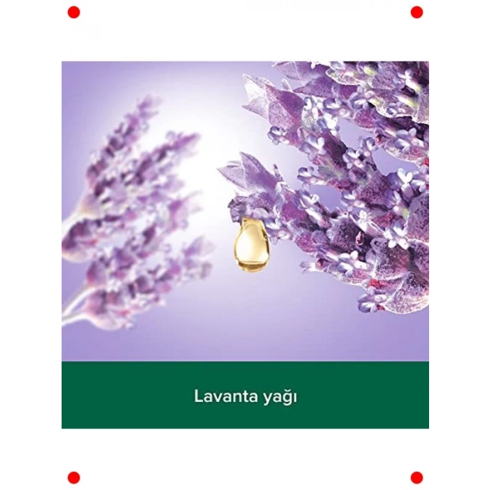 Lavanta & Ylang Ylang Aromalı Duş & Banyo Jeli (500 ml)