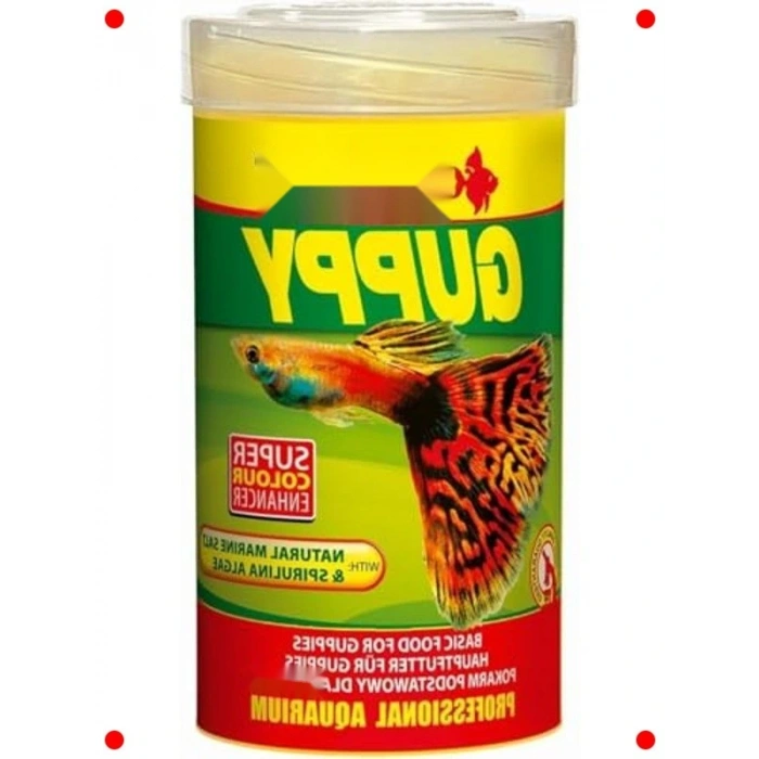 Lepistes İçin Pul Yem 100ml / 20gr