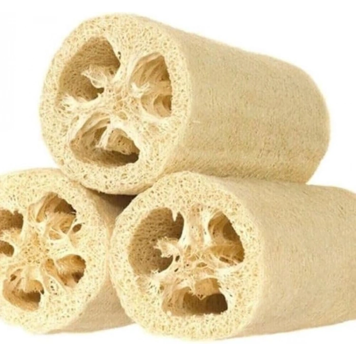 Lif Kabak Tohumu - 10 Adet