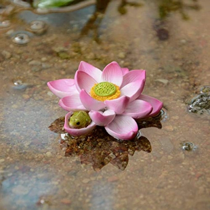 Lotus Çiçeği ile Tasarlanmış Mini Teraryum Heykeli