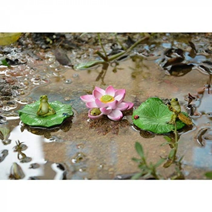 Lotus Çiçeği ile Tasarlanmış Mini Teraryum Heykeli