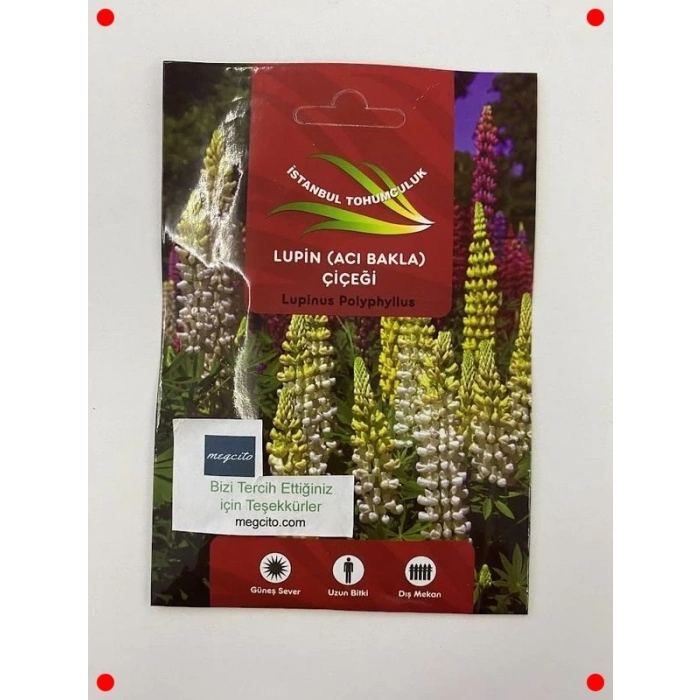 Lupin Çiçeği Karışık Renk Tohumları - 30 Adet