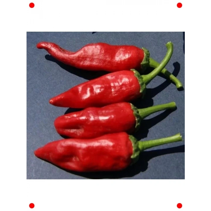 Maraş Biberi Tohumu - 5 gr - Geleneksel Lezzet