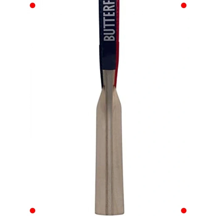 Masa Tenisi Raket ve Top Seti