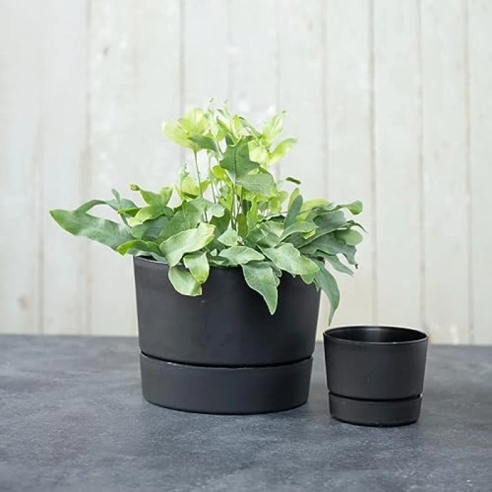 Mat Siyah Silindir Saksı, Orta Yüzyıl Modern Tasarım, 21.5 cm