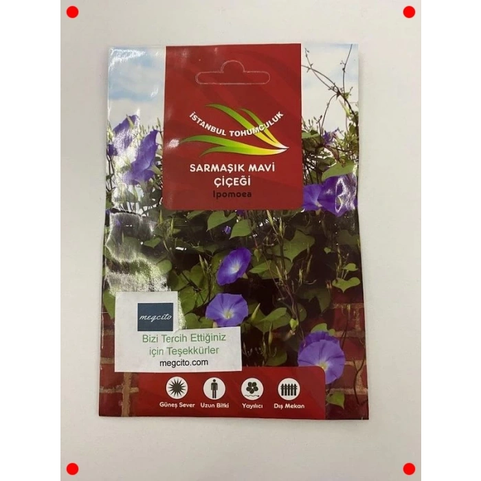 Mavi Sarmaşık Tohumu - 50 Adet