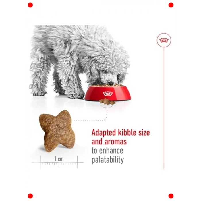 Mini Irk Yetişkin Köpek Kuru Maması 4 Kg