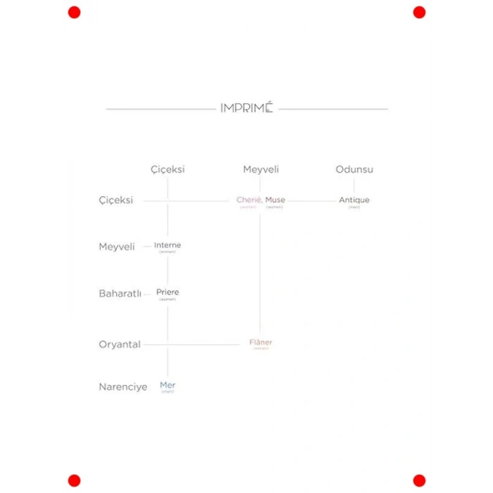 Mini Parfüm Deneme Seti 8 x 2 ml