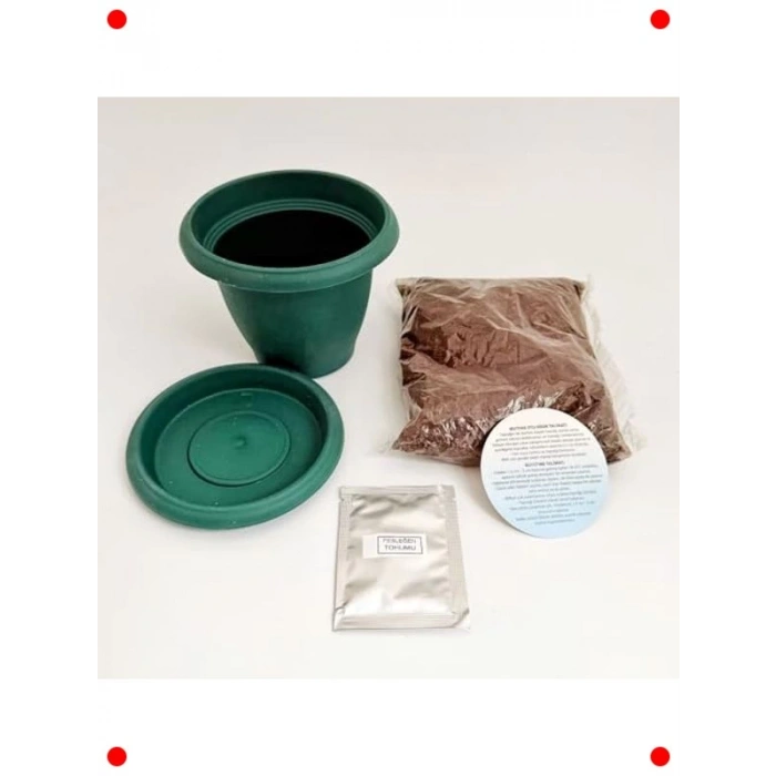 Mini Saksıda Kendin Dik Fesleğen Bitki Yetiştirme Seti