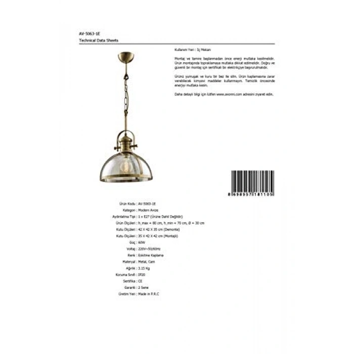 Modern Avize, 60 W ile Şık Aydınlatma Sağlar