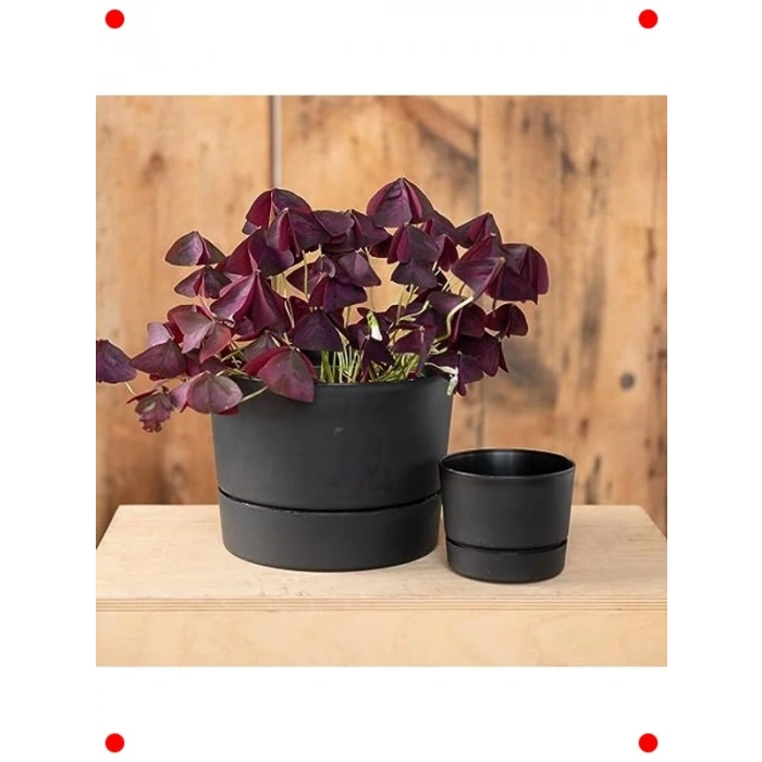 Modern Düşük Profil Silindir Saksı - Mat Siyah (21.5cm)