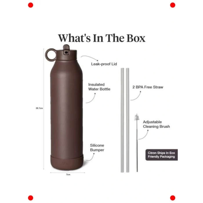 Mor Erik Renkli 750 ml 3 Katmanlı Paslanmaz Çelik Termos