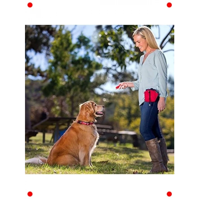 Mor Renk Köpek Ödül ve Eğitim Çantası