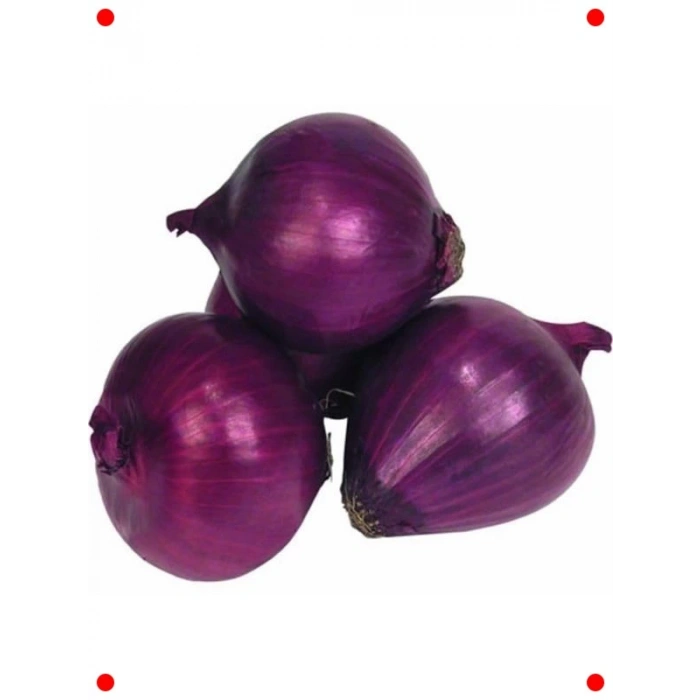 Mor Soğan Tohumu (3 gr) - Renkli ve Keskin