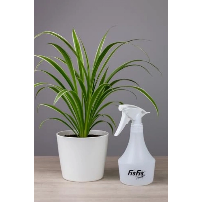 MP872 Yağmur500 10 Endüstriyel 1.0cc Fısfıs 0,5Litre