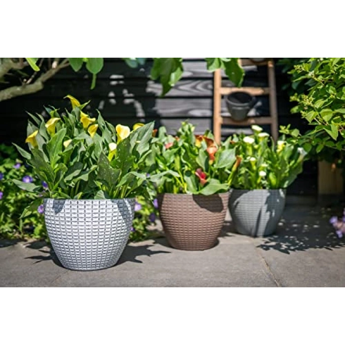 Nanda Plastik Saksı, Kahverengi