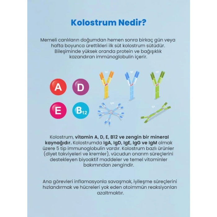 Nemlendirici Krem 50 ml - Yüz ve Vücut İçin