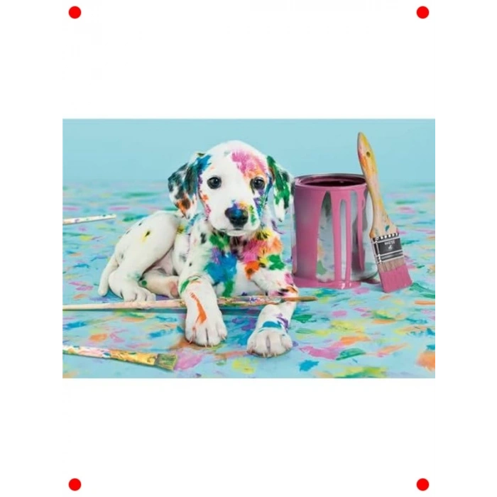 Neşeli Dalmaçyalı 500 Parça Kompakt Yapboz