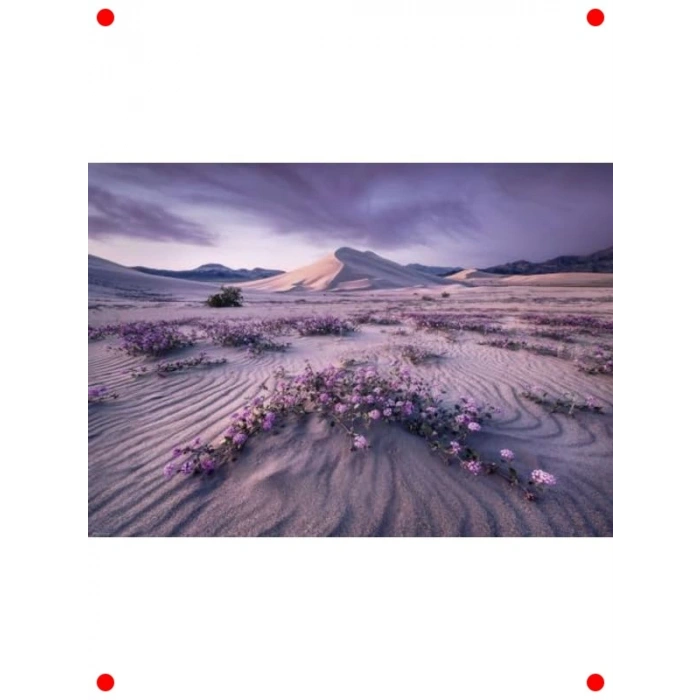 Ok Temalı Dinamik Gümüş Renk 1000 Parça Yapboz