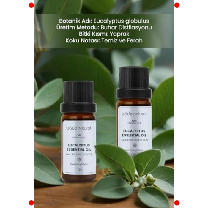 Okaliptus Uçucu Yağı - %100 Saf 10 ml