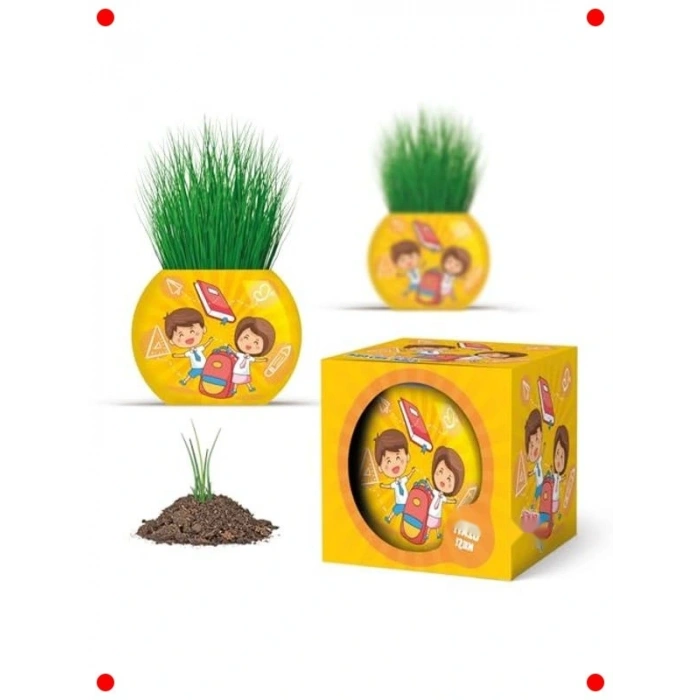 Okul Temalı Çim Adam 6lı Set