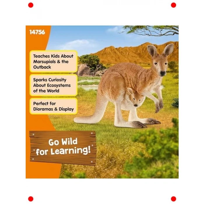 Okuyan Kanguru Figürü – Detaylı Tasarım