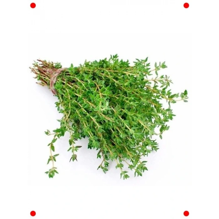 Organik Kekik Tohumu - 3 Gram