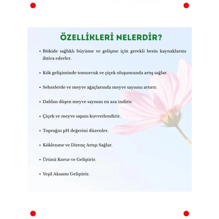 Organik Sıvı Solucan Gübresi 1000ml Bitki Destek