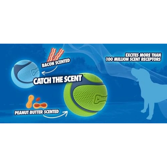 Orta Boy Chuckit! Sniff Ball, Kauçuk Köpek Oyuncağı
