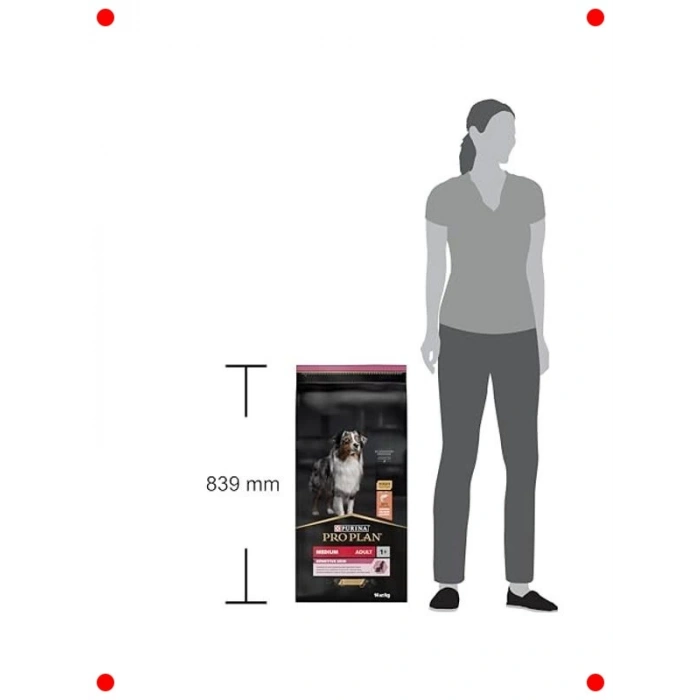 Orta Irk Yetişkin Köpek Maması, Somonlu, 14 kg