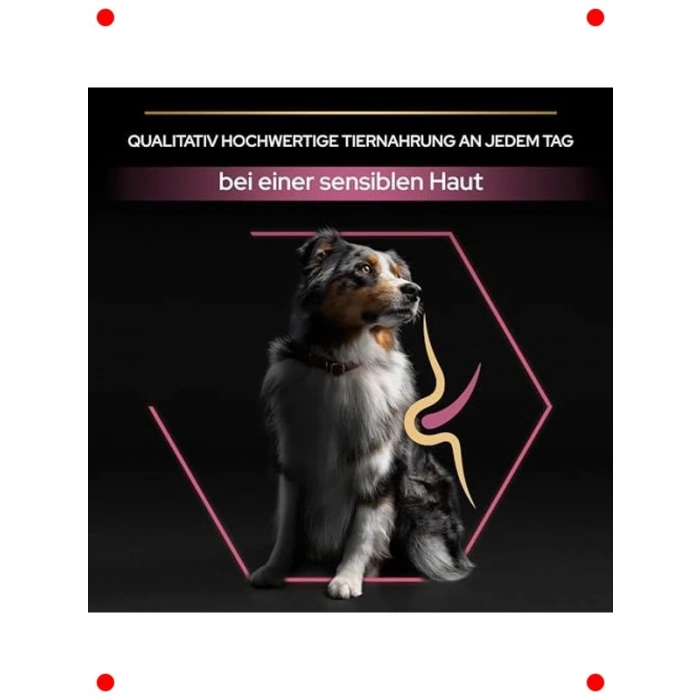 Orta Irk Yetişkin Köpek Maması, Somonlu, 14 kg