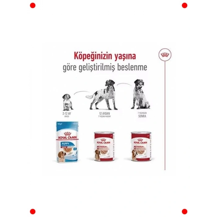 Orta Irk Yetişkin Köpek Yaş Maması (410g)