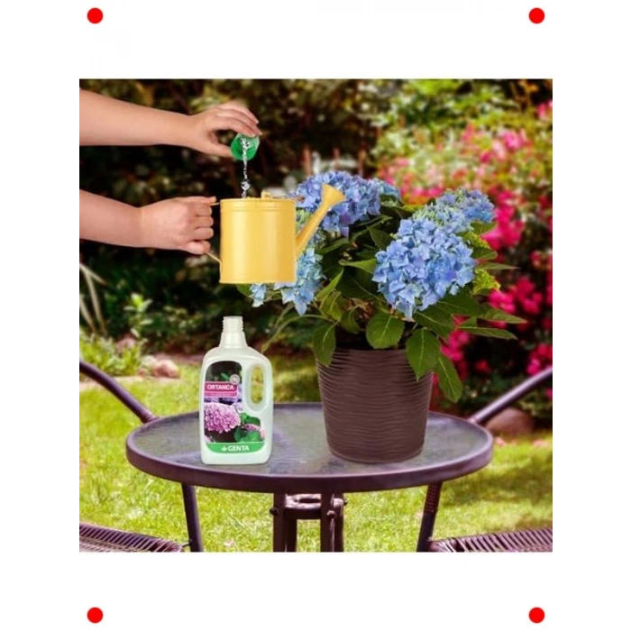 Ortanca & Açelya Sıvı Besin Gübresi 500 ml