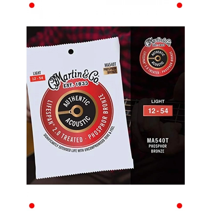 Otantik İşlemeli Hafif Akustik Gitar Teli (92/8)