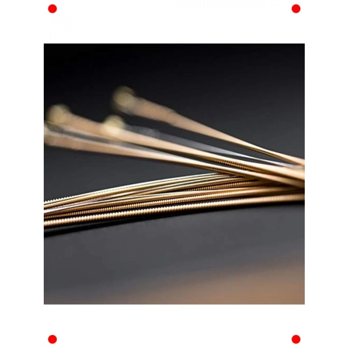 Otantik İşlemeli Hafif Akustik Gitar Teli (92/8)