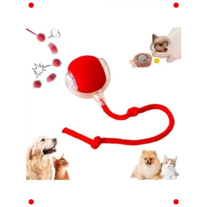 Otomatik Kedi Oyun Topu – LEDli, USB Şarjlı, 3 Modlu