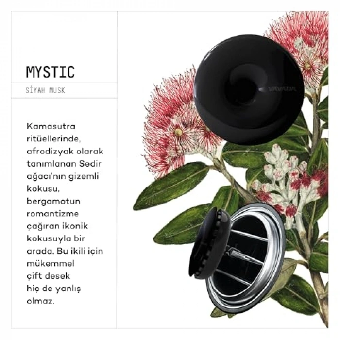 Otomobil Kokusu, 90 Gün Etkili, 3lü Set