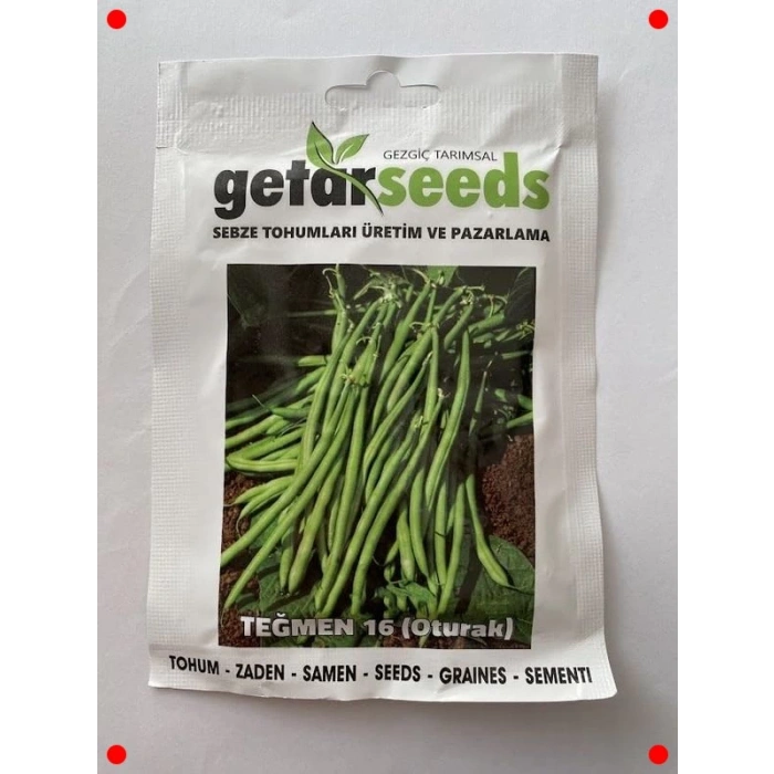 Oturak Teğmen Fasulye Tohumu - Lezzetli ve Bereketli
