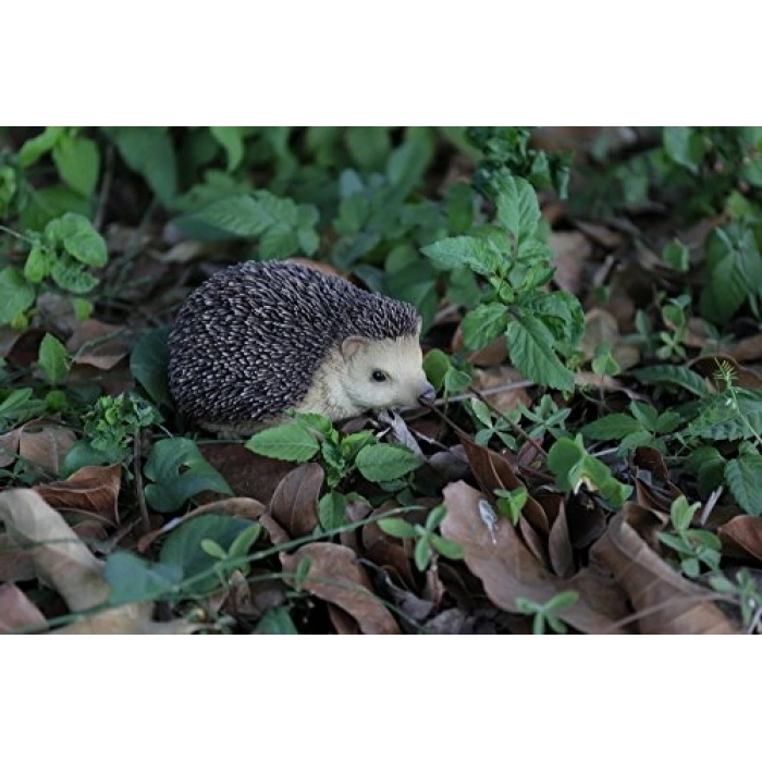Oturan Kirpi Heykeli, Bahçe Dekoru