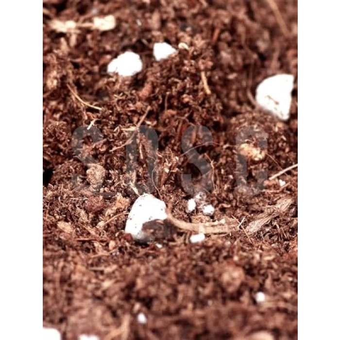 Özel Karışım Saksı Harcı, Cocopeat ve Perlit, Çiçek ve Bitki İçin 3 Litre