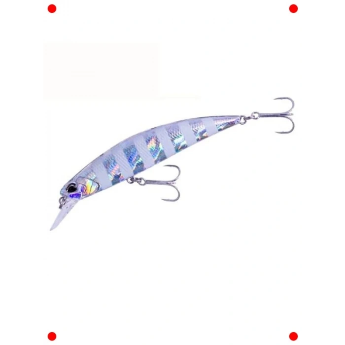 Parlak Zebra Tuzlu Su Yem Balığı