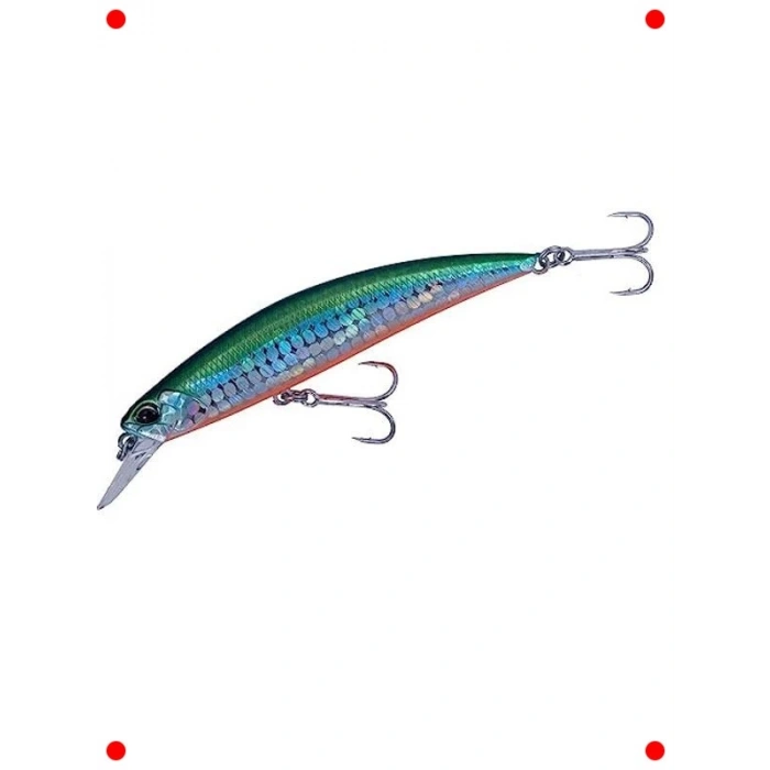 Parlak Zebra Tuzlu Su Yem Balığı