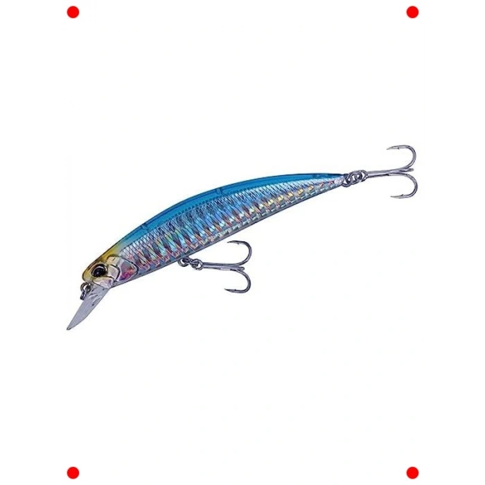 Parlak Zebra Tuzlu Su Yem Balığı